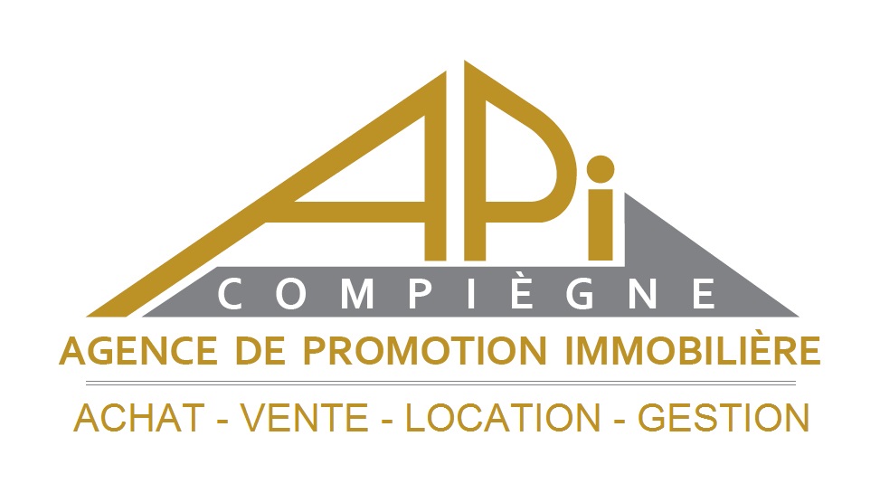 api_logo